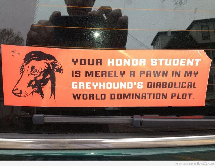 tmpnqambllt Hilarious Bumper Stickers You Can't Help But Read
